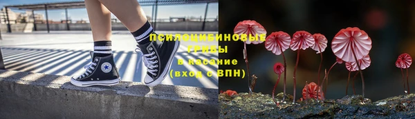 герыч Арсеньев