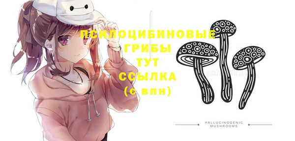 герыч Арсеньев