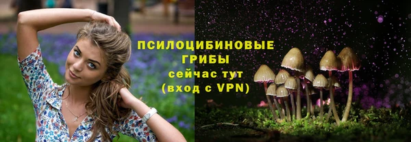 MESCALINE Аркадак