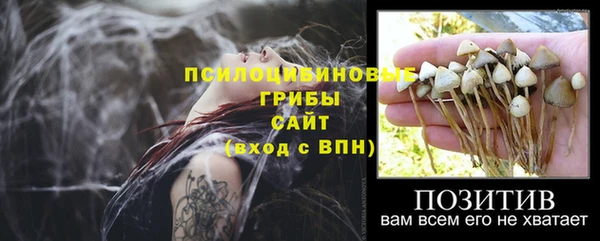 MESCALINE Аркадак